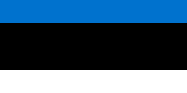 Swedish Flag